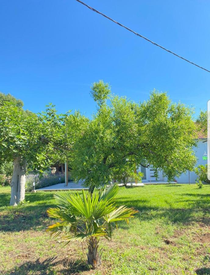 Holiday House Lucia Sukošan المظهر الخارجي الصورة