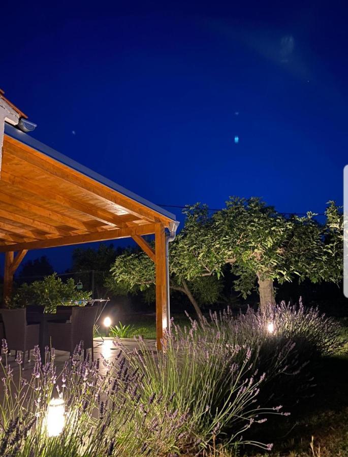 Holiday House Lucia Sukošan المظهر الخارجي الصورة
