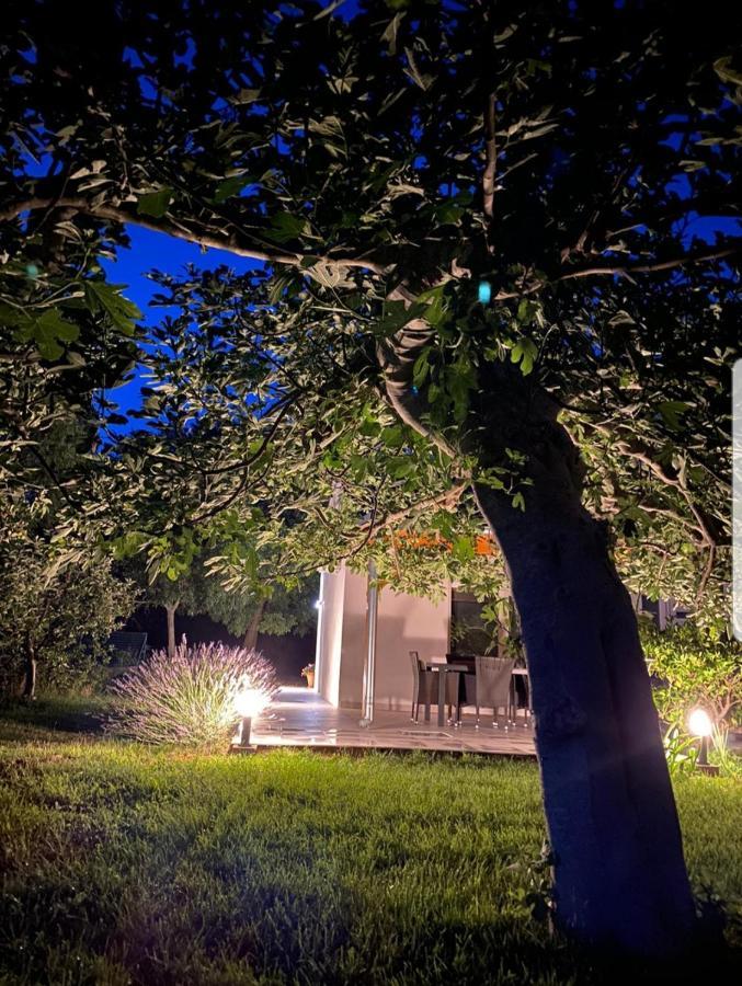 Holiday House Lucia Sukošan المظهر الخارجي الصورة